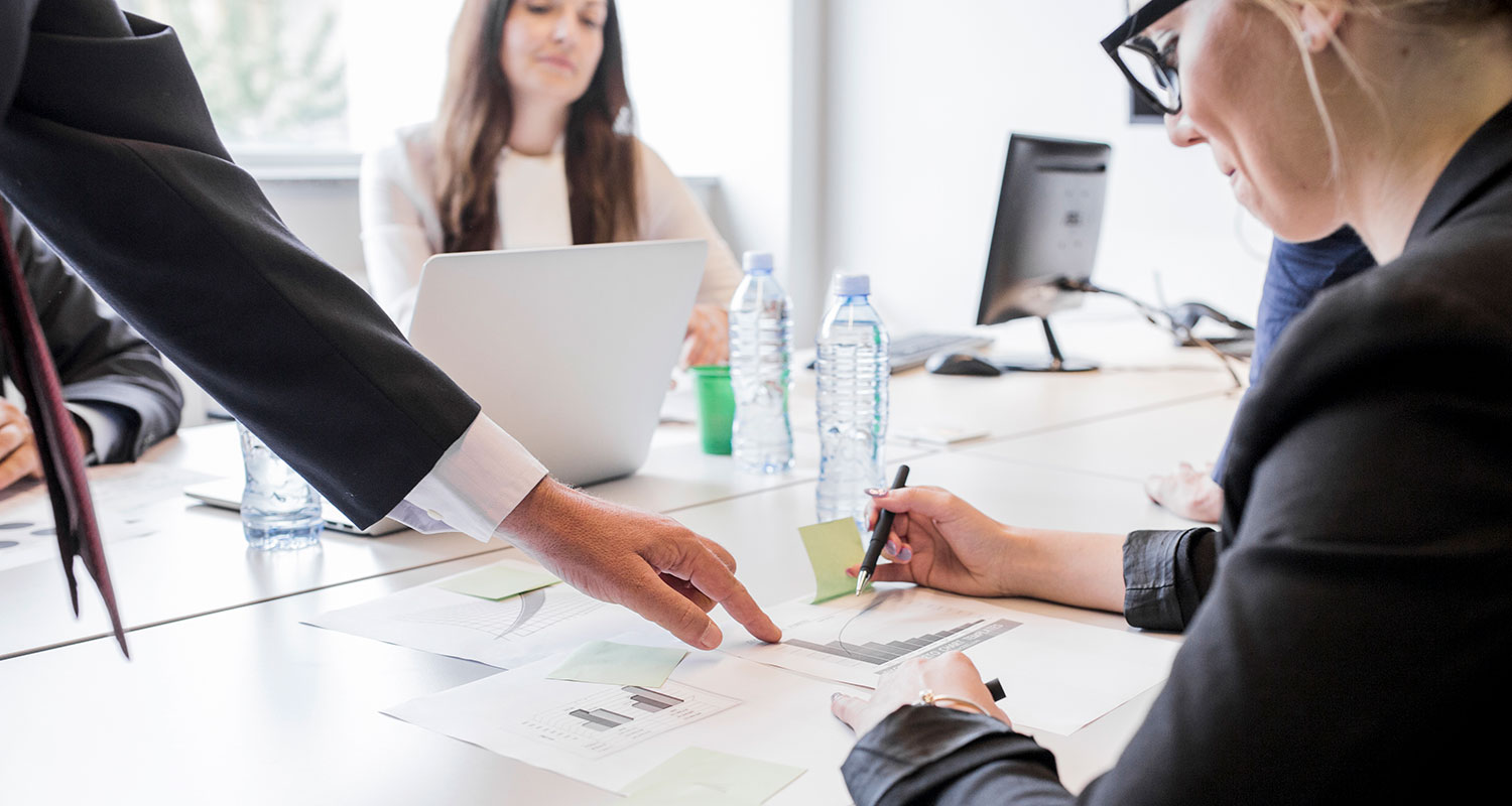 DCaminis Advisory advisory services